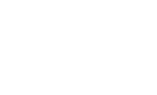 Center for Innovation: Mobilize the Movement